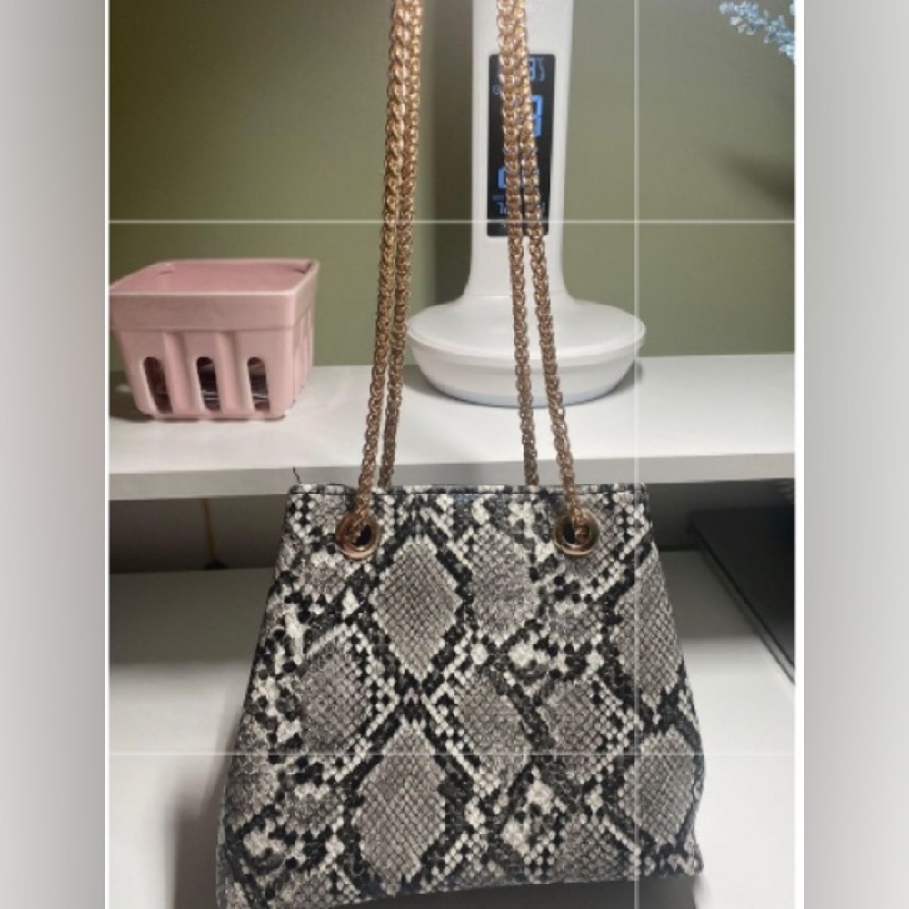 Snakeskin Purse